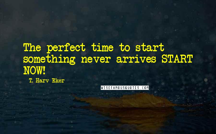 T. Harv Eker quotes: The perfect time to start something never arrives START NOW!