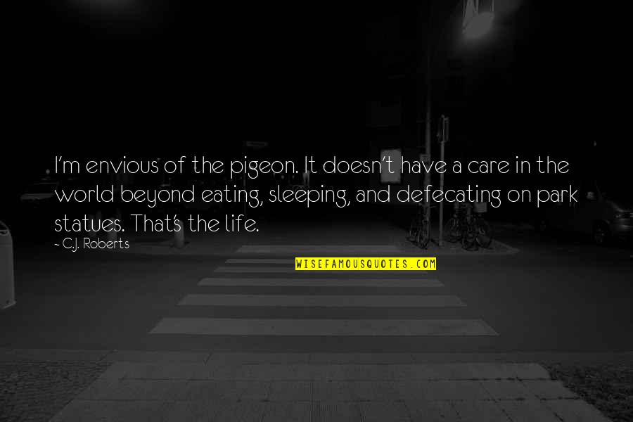 T In The Park Quotes By C.J. Roberts: I'm envious of the pigeon. It doesn't have