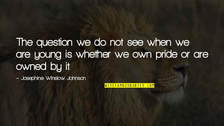 T L Charger Idm Quotes By Josephine Winslow Johnson: The question we do not see when we T L Charger Idm Quotes By Josephine Winslow Johnson: The question we do not see when we