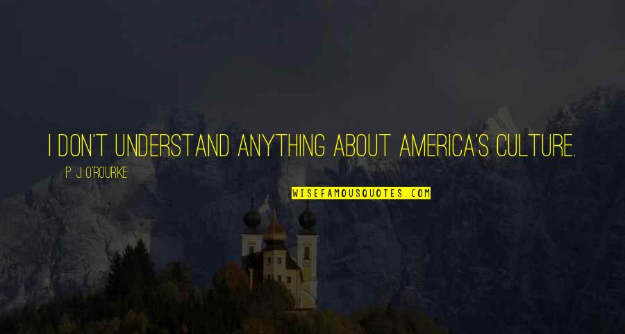 T P T S Quotes By P. J. O'Rourke: I don't understand anything about America's culture.