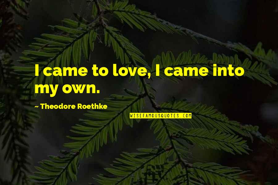 T Roethke Quotes By Theodore Roethke: I came to love, I came into my