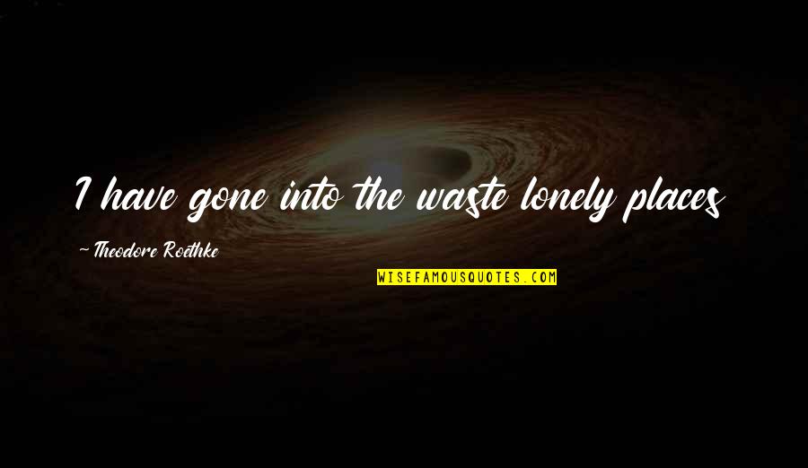 T Roethke Quotes By Theodore Roethke: I have gone into the waste lonely places