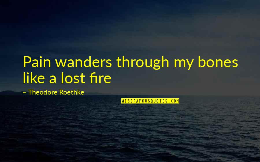 T Roethke Quotes By Theodore Roethke: Pain wanders through my bones like a lost