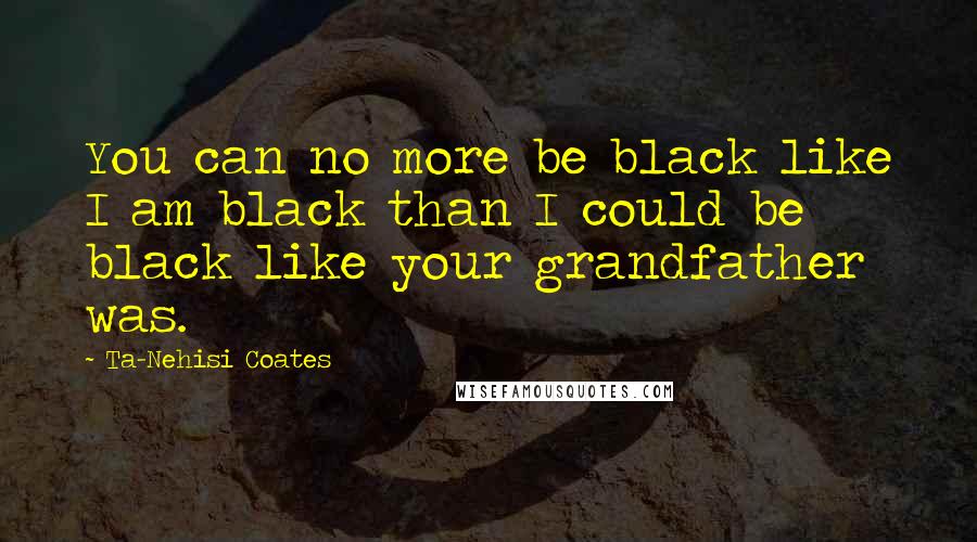 Ta-Nehisi Coates quotes: You can no more be black like I am black than I could be black like your grandfather was.