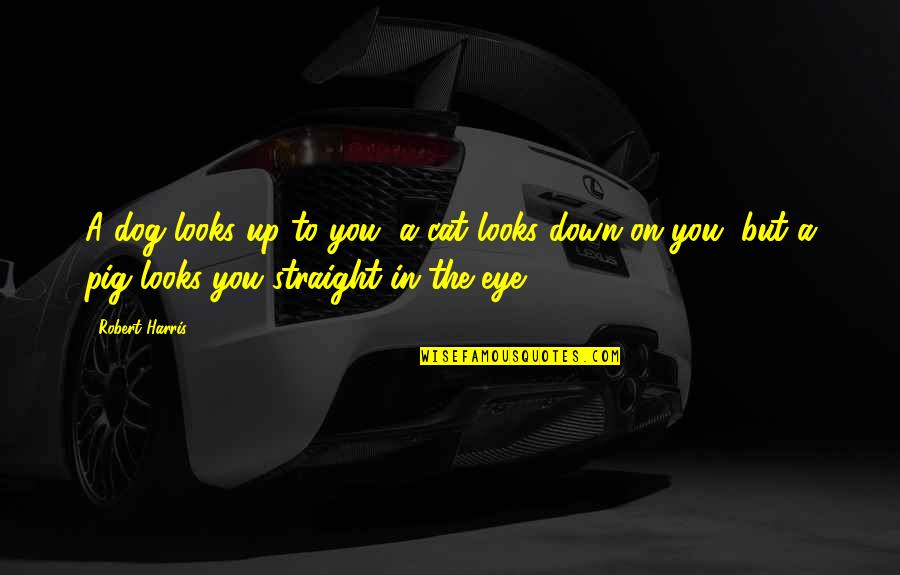 Taas Ng Lipad Quotes By Robert Harris: A dog looks up to you, a cat Taas Ng Lipad Quotes By Robert Harris: A dog looks up to you, a cat