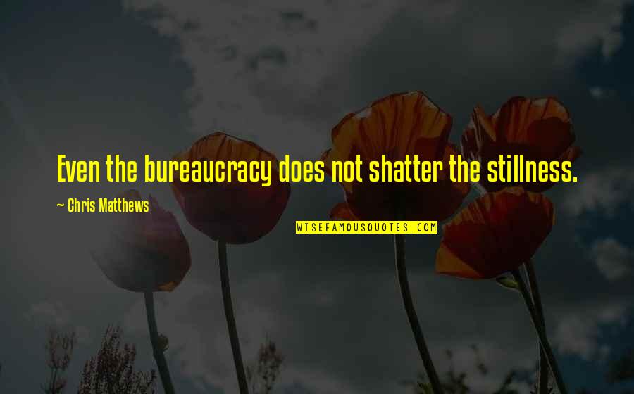 Tabacchi Suicide Quotes By Chris Matthews: Even the bureaucracy does not shatter the stillness.