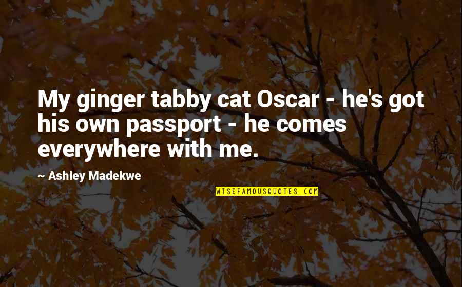 Tabby Cat Quotes By Ashley Madekwe: My ginger tabby cat Oscar - he's got