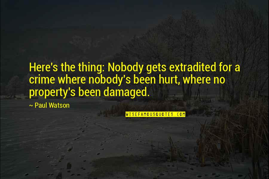 Tablescapes For Thanksgiving Quotes By Paul Watson: Here's the thing: Nobody gets extradited for a Tablescapes For Thanksgiving Quotes By Paul Watson: Here's the thing: Nobody gets extradited for a