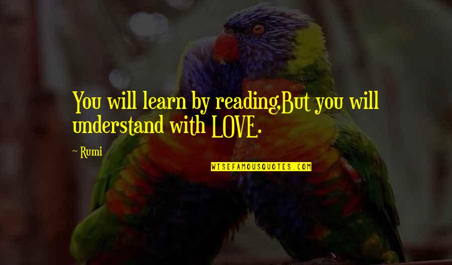 Tabriz Quotes By Rumi: You will learn by reading,But you will understand