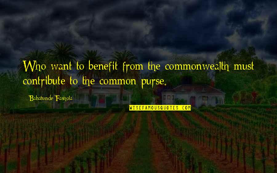 Tabuleiro Do Amor Quotes By Babatunde Fashola: Who want to benefit from the commonwealth must