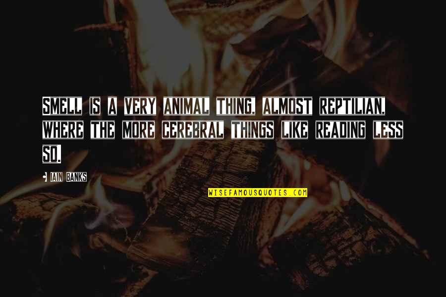 Tacia Erwin Quotes By Iain Banks: Smell is a very animal thing, almost reptilian, Tacia Erwin Quotes By Iain Banks: Smell is a very animal thing, almost reptilian,