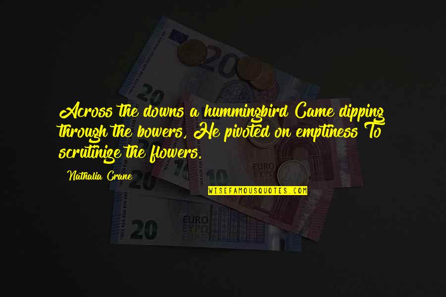 Taciturno En Quotes By Nathalia Crane: Across the downs a hummingbird Came dipping through Taciturno En Quotes By Nathalia Crane: Across the downs a hummingbird Came dipping through