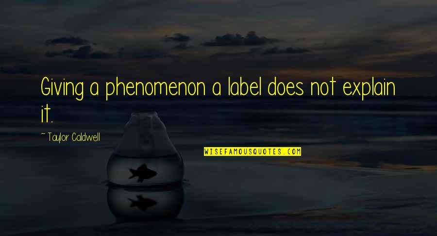 Tacky Motivational Quotes By Taylor Caldwell: Giving a phenomenon a label does not explain