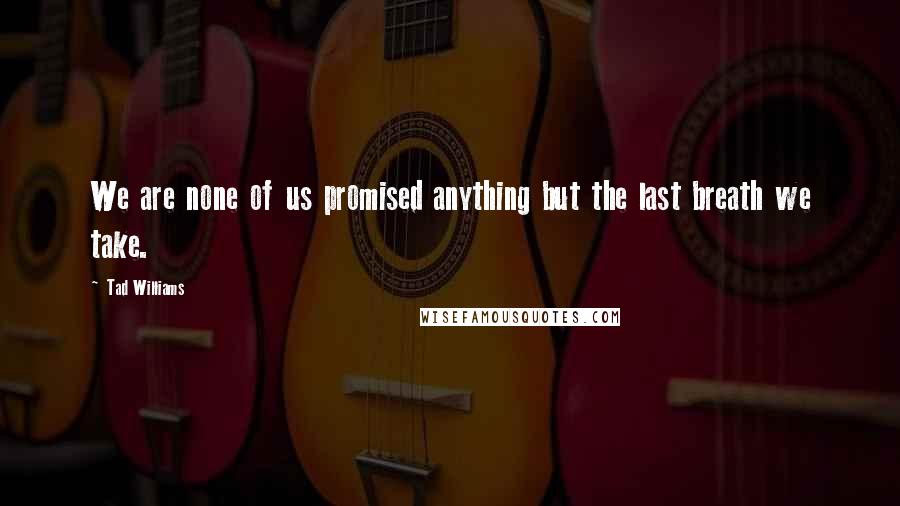 Tad Williams quotes: We are none of us promised anything but the last breath we take.