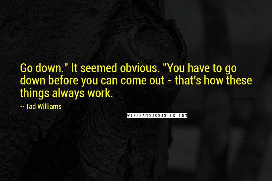 Tad Williams quotes: Go down." It seemed obvious. "You have to go down before you can come out - that's how these things always work.