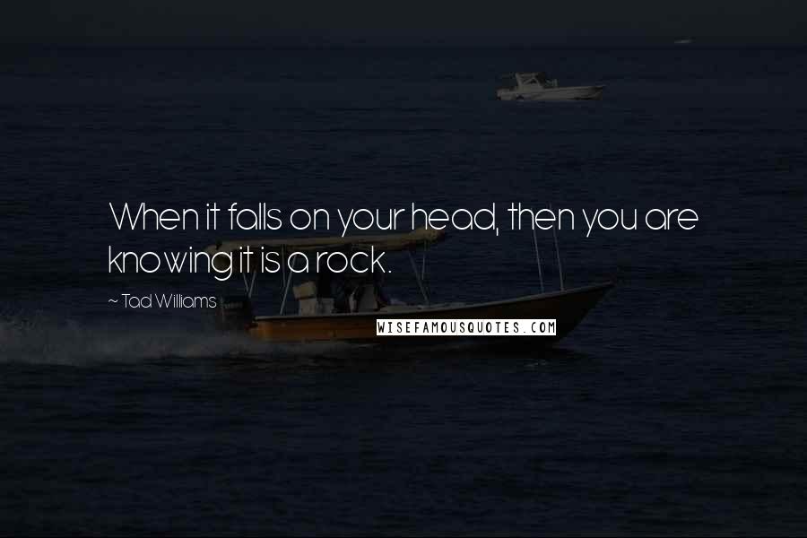 Tad Williams quotes: When it falls on your head, then you are knowing it is a rock.
