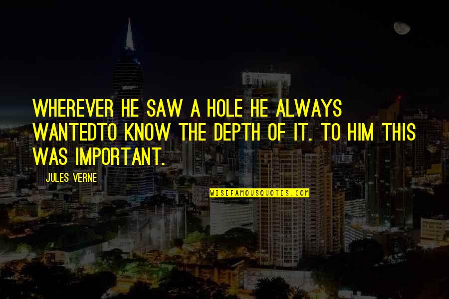Taddy Swings Quotes By Jules Verne: Wherever he saw a hole he always wantedto