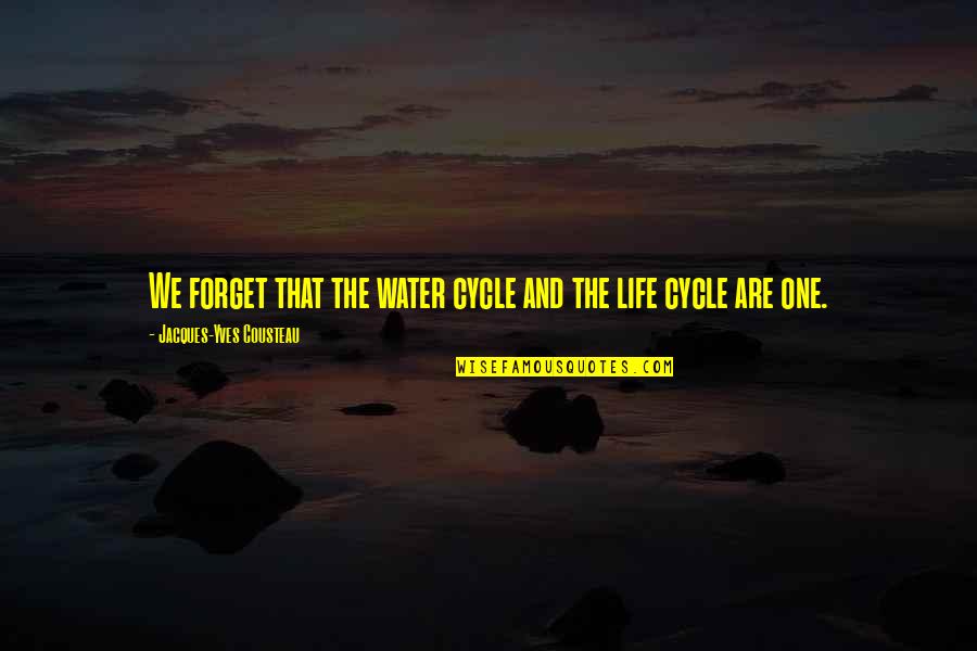 Tadek Olpinski Quotes By Jacques-Yves Cousteau: We forget that the water cycle and the Tadek Olpinski Quotes By Jacques-Yves Cousteau: We forget that the water cycle and the