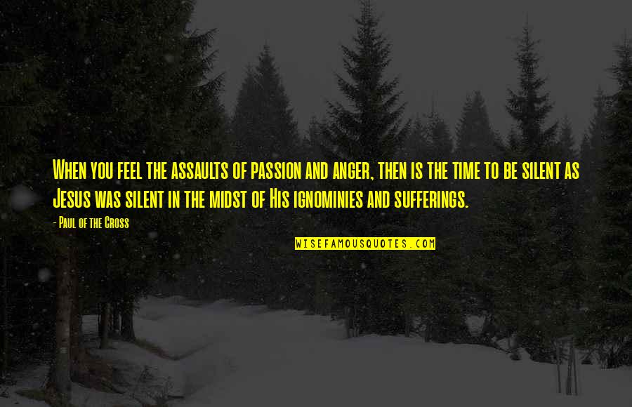Tadele Quotes By Paul Of The Cross: When you feel the assaults of passion and Tadele Quotes By Paul Of The Cross: When you feel the assaults of passion and