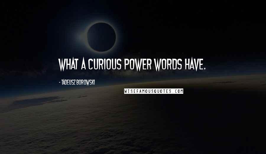 Tadeusz Borowski quotes: What a curious power words have.