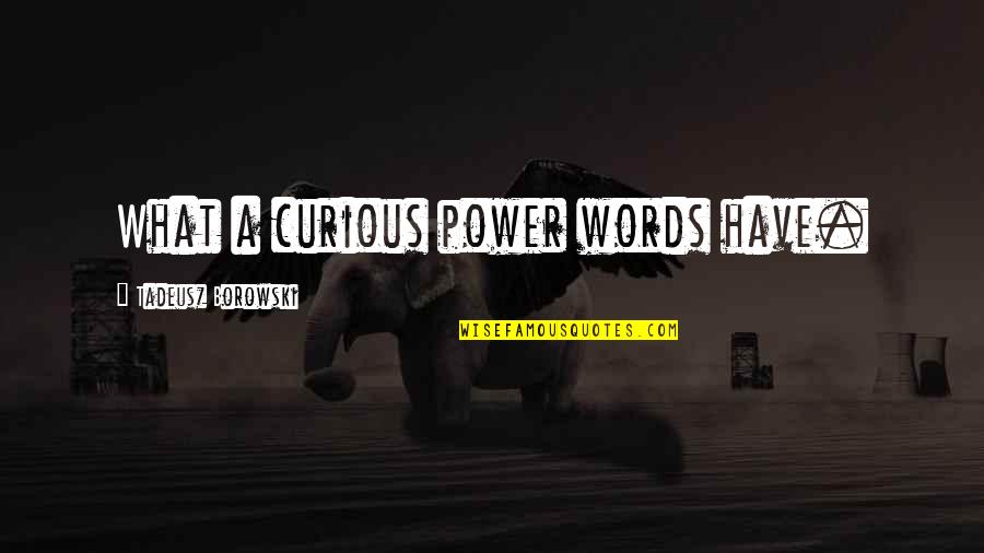 Tadeusz Borowski Quotes By Tadeusz Borowski: What a curious power words have.