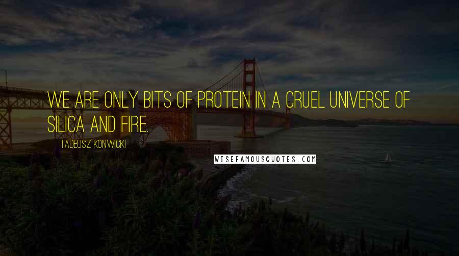 Tadeusz Konwicki quotes: We are only bits of protein in a cruel universe of silica and fire.