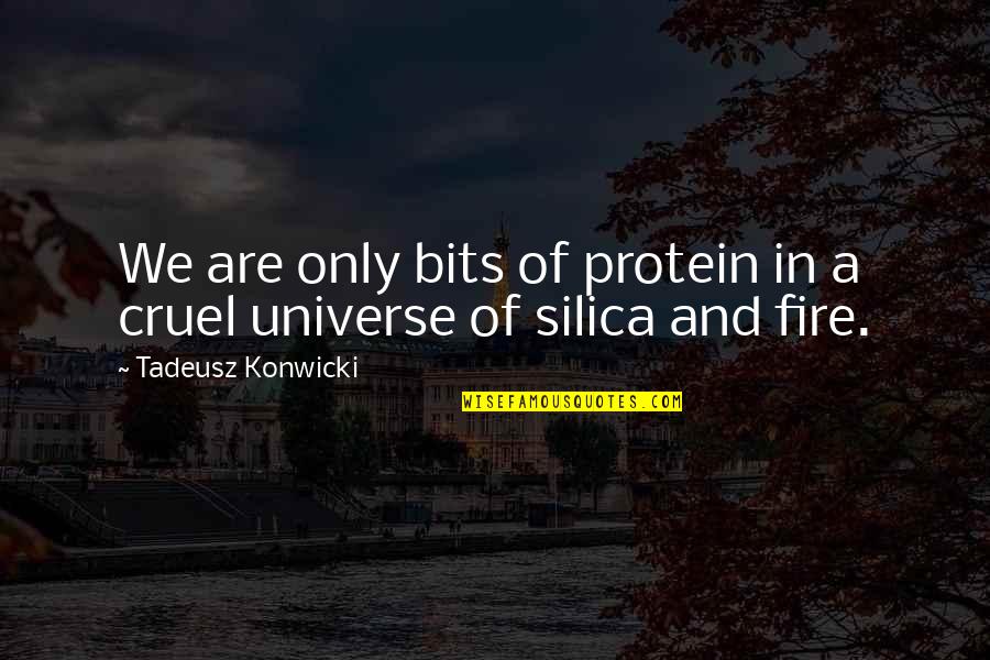 Tadeusz Konwicki Quotes By Tadeusz Konwicki: We are only bits of protein in a