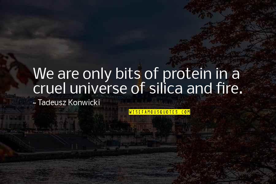 Tadeusz Quotes By Tadeusz Konwicki: We are only bits of protein in a