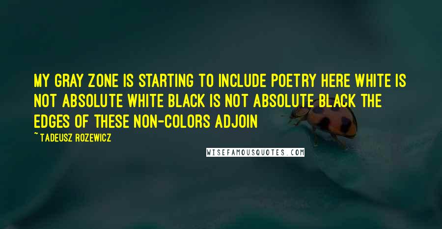 Tadeusz Rozewicz quotes: My gray zone is starting to include poetry here white is not absolute white black is not absolute black the edges of these non-colors adjoin Tadeusz Rozewicz quotes: My gray zone is starting to include poetry here white is not absolute white black is not absolute black the edges of these non-colors adjoin