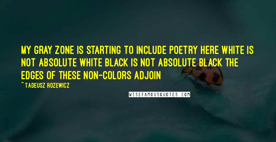 Tadeusz Rozewicz quotes: My gray zone is starting to include poetry here white is not absolute white black is not absolute black the edges of these non-colors adjoin