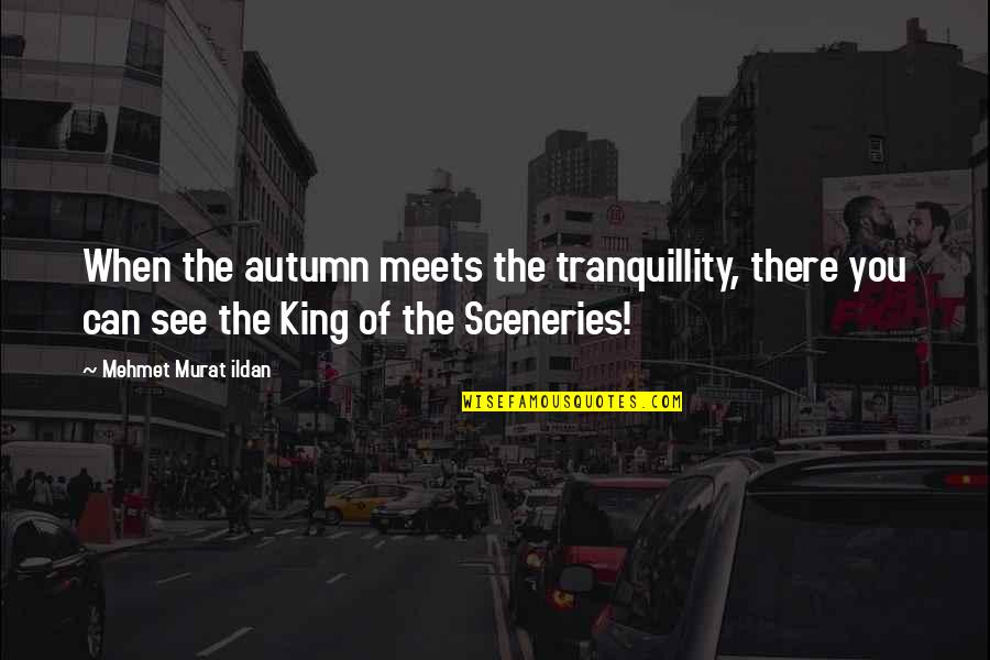 Taeymans Schilder Quotes By Mehmet Murat Ildan: When the autumn meets the tranquillity, there you Taeymans Schilder Quotes By Mehmet Murat Ildan: When the autumn meets the tranquillity, there you