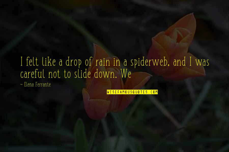 Tagalong Quotes By Elena Ferrante: I felt like a drop of rain in