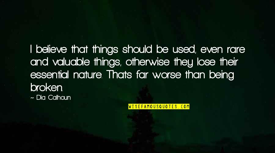 Taghavi Nasser Quotes By Dia Calhoun: I believe that things should be used, even Taghavi Nasser Quotes By Dia Calhoun: I believe that things should be used, even