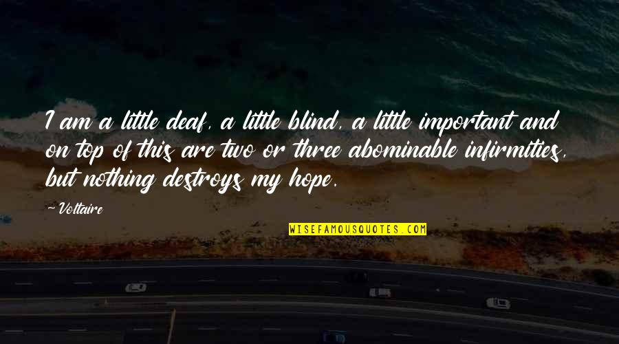 Tagos Buto Quotes By Voltaire: I am a little deaf, a little blind,