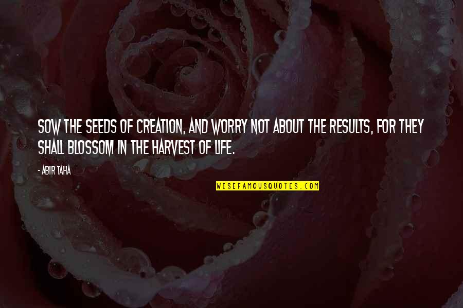 Taha'a Quotes By Abir Taha: Sow the seeds of creation, and worry not