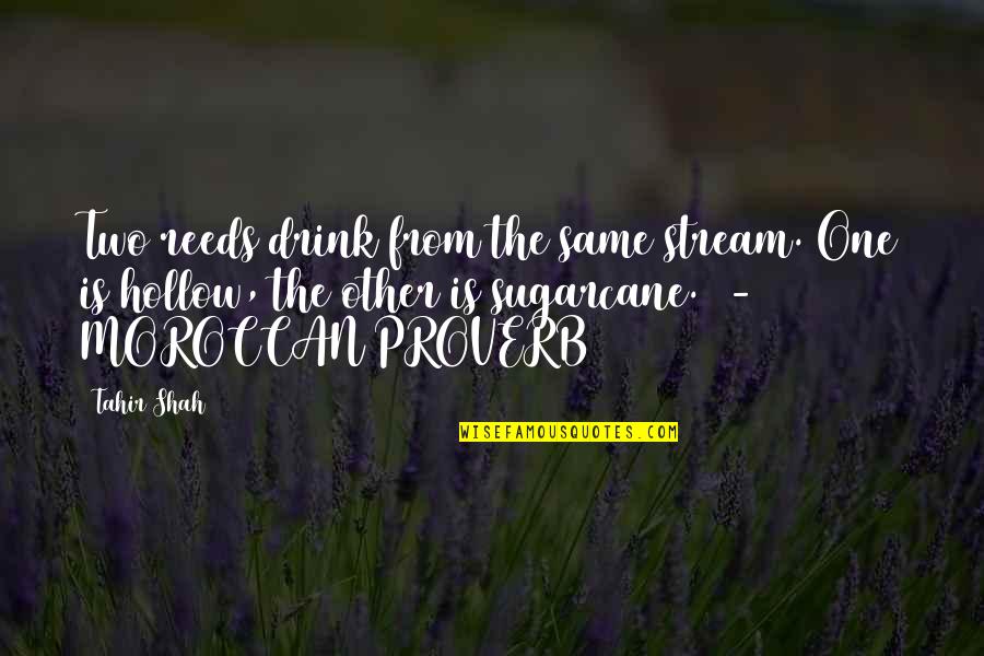 Tahir Quotes By Tahir Shah: Two reeds drink from the same stream. One Tahir Quotes By Tahir Shah: Two reeds drink from the same stream. One