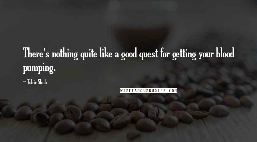 Tahir Shah quotes: There's nothing quite like a good quest for getting your blood pumping.