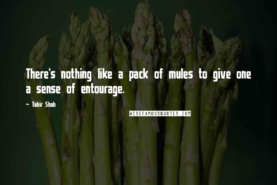 Tahir Shah quotes: There's nothing like a pack of mules to give one a sense of entourage.