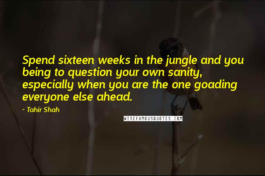 Tahir Shah quotes: Spend sixteen weeks in the jungle and you being to question your own sanity, especially when you are the one goading everyone else ahead.