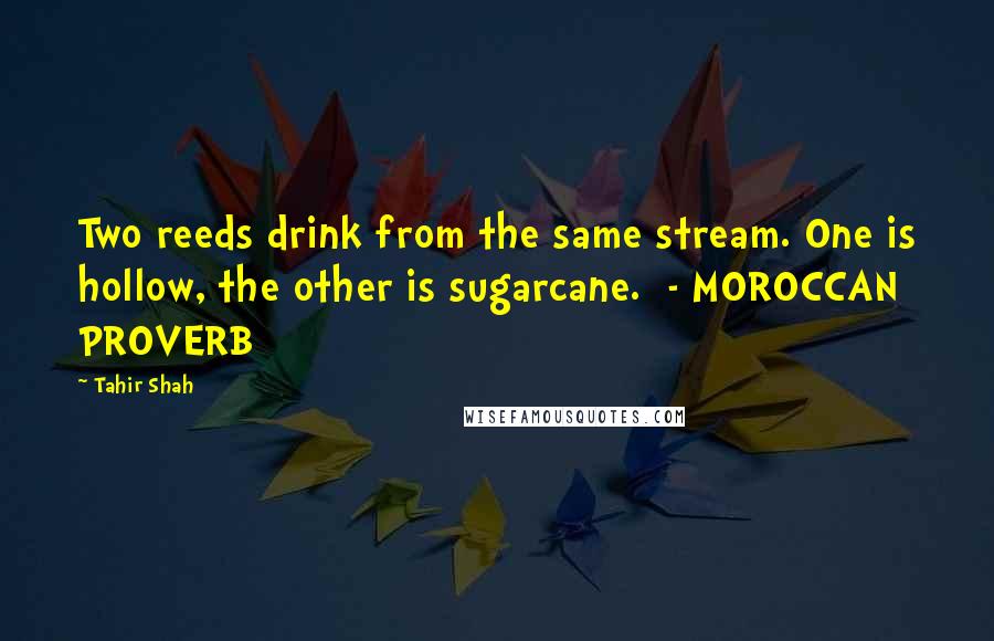 Tahir Shah quotes: Two reeds drink from the same stream. One is hollow, the other is sugarcane. - MOROCCAN PROVERB