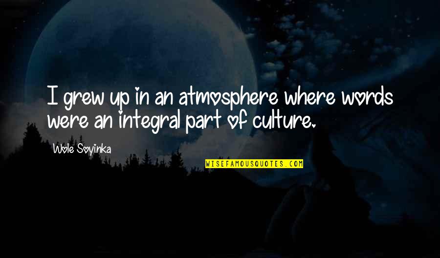 Tahirovic Trosedi Quotes By Wole Soyinka: I grew up in an atmosphere where words