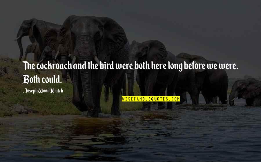 Tahmasebi Quotes By Joseph Wood Krutch: The cockroach and the bird were both here Tahmasebi Quotes By Joseph Wood Krutch: The cockroach and the bird were both here