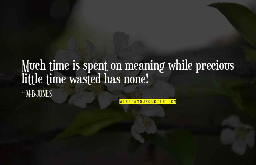 Tai Chi Quote Quotes By M.B.JONES: Much time is spent on meaning while precious