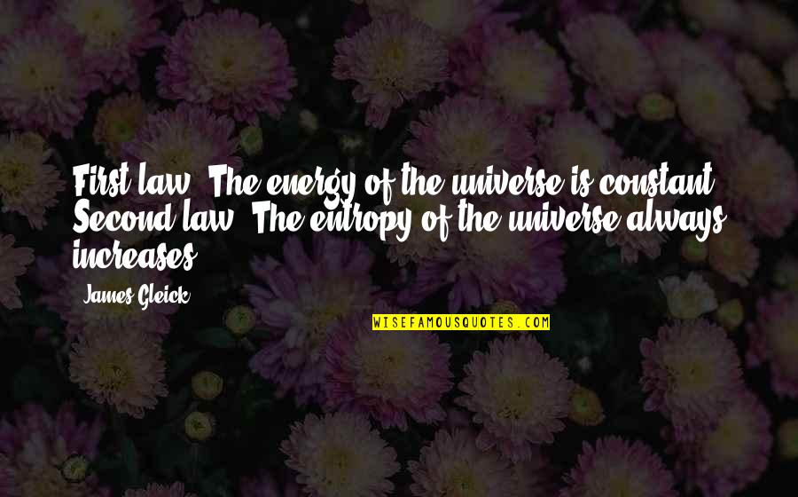 Tailgate Song Quotes By James Gleick: First law: The energy of the universe is