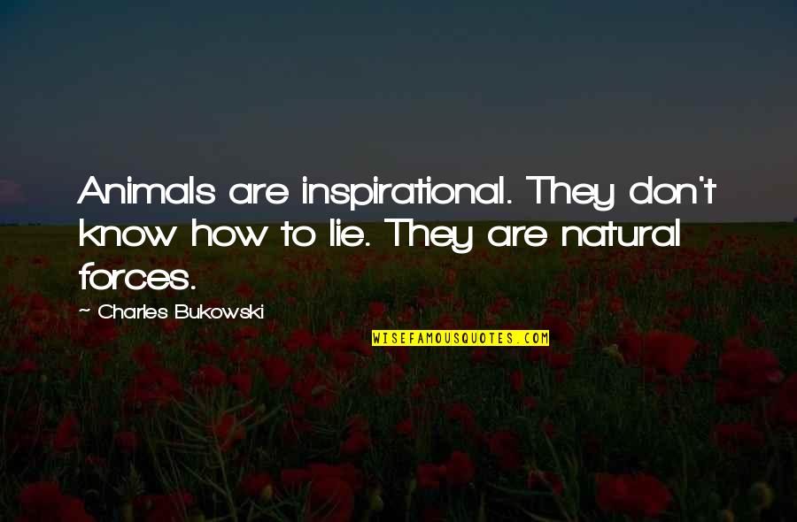Tailwaters Outfitters Quotes By Charles Bukowski: Animals are inspirational. They don't know how to