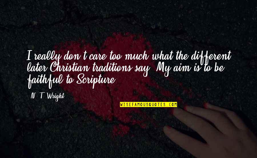 T'aim Quotes By N. T. Wright: I really don't care too much what the