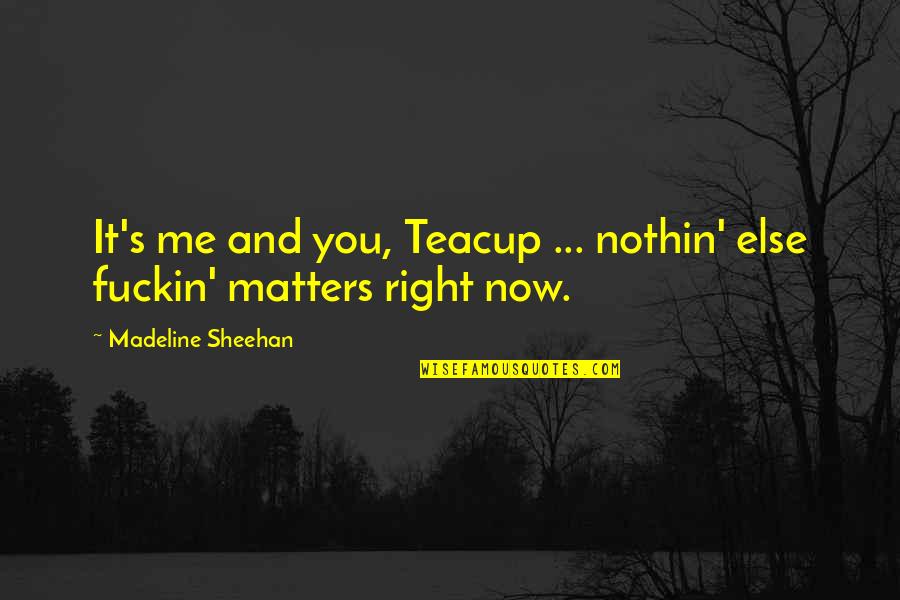Tainter Creek Quotes By Madeline Sheehan: It's me and you, Teacup ... nothin' else
