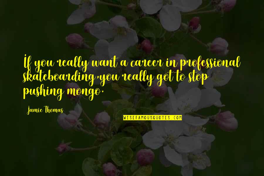 Taitetsu Quotes By Jamie Thomas: If you really want a career in professional Taitetsu Quotes By Jamie Thomas: If you really want a career in professional