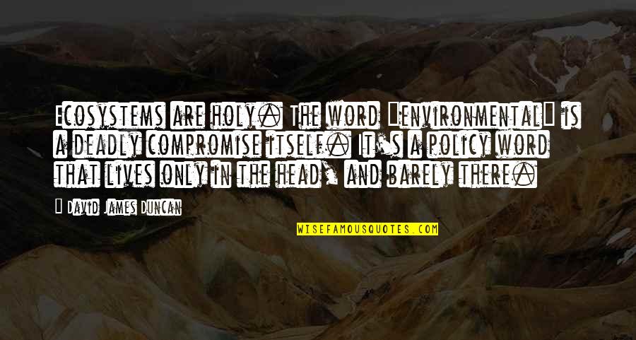 Taizoon Quotes By David James Duncan: Ecosystems are holy. The word "environmental" is a Taizoon Quotes By David James Duncan: Ecosystems are holy. The word "environmental" is a
