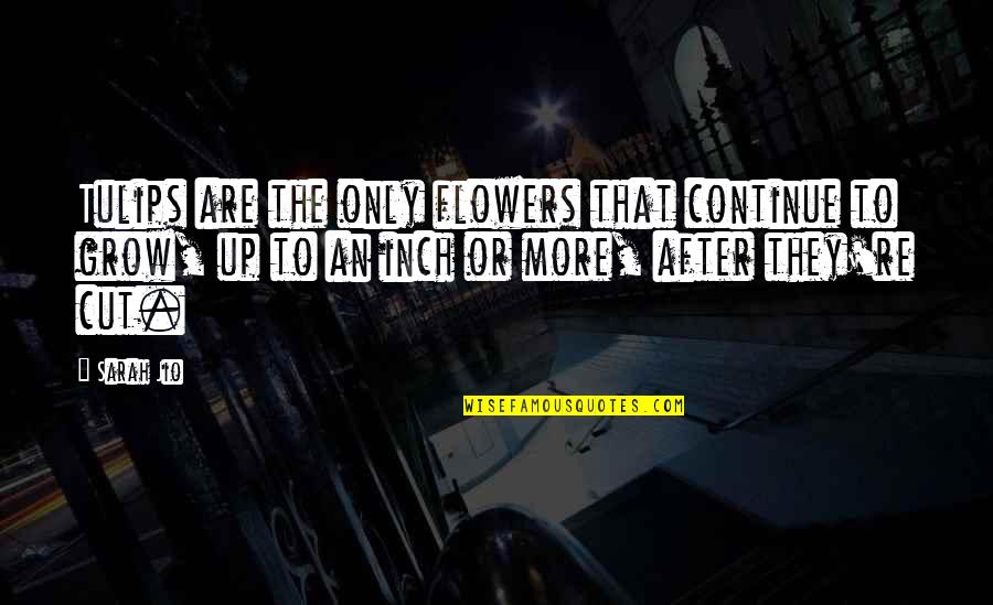 Takabbur In Islam Quotes By Sarah Jio: Tulips are the only flowers that continue to